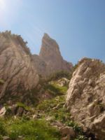 2014-08-02_06FritzPflaum-Steig (247).JPG